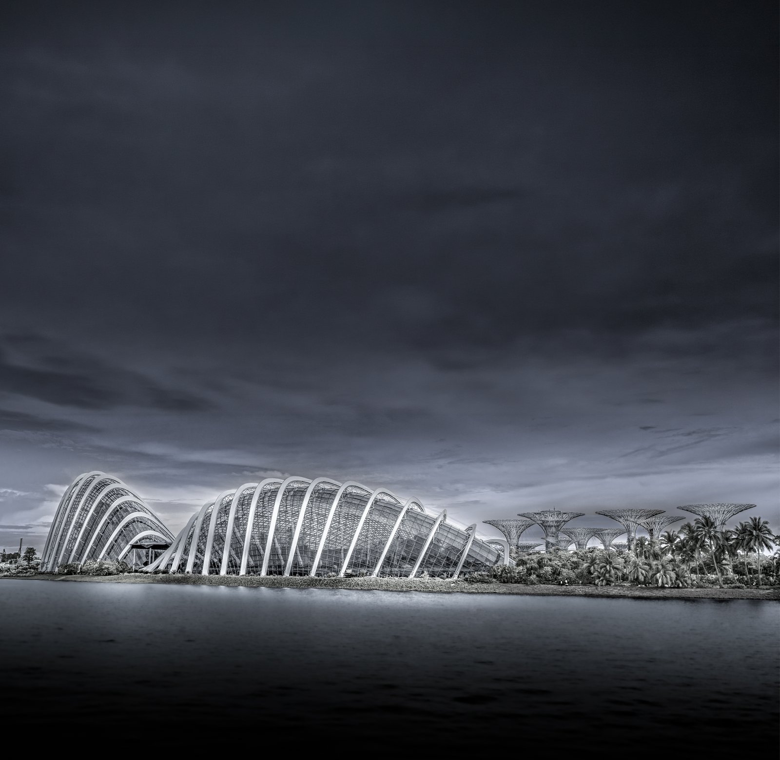 Black-and-white waterfront view of Gardens by the Bay conservatories and Supertrees from Marina Bay